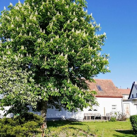 Ferienwohnung Lodig Gross Sarchen Exterior foto